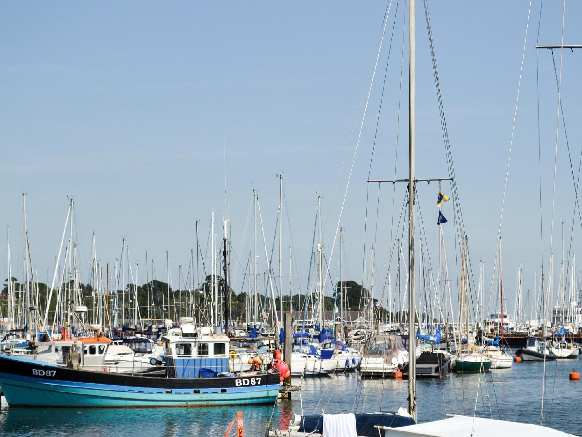 Irenic Lodge Netley Marsh Εξωτερικό φωτογραφία